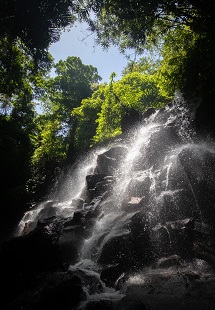 Visit the Bali Waterfalls